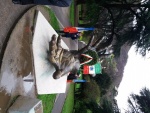 20170326_091314.jpg
